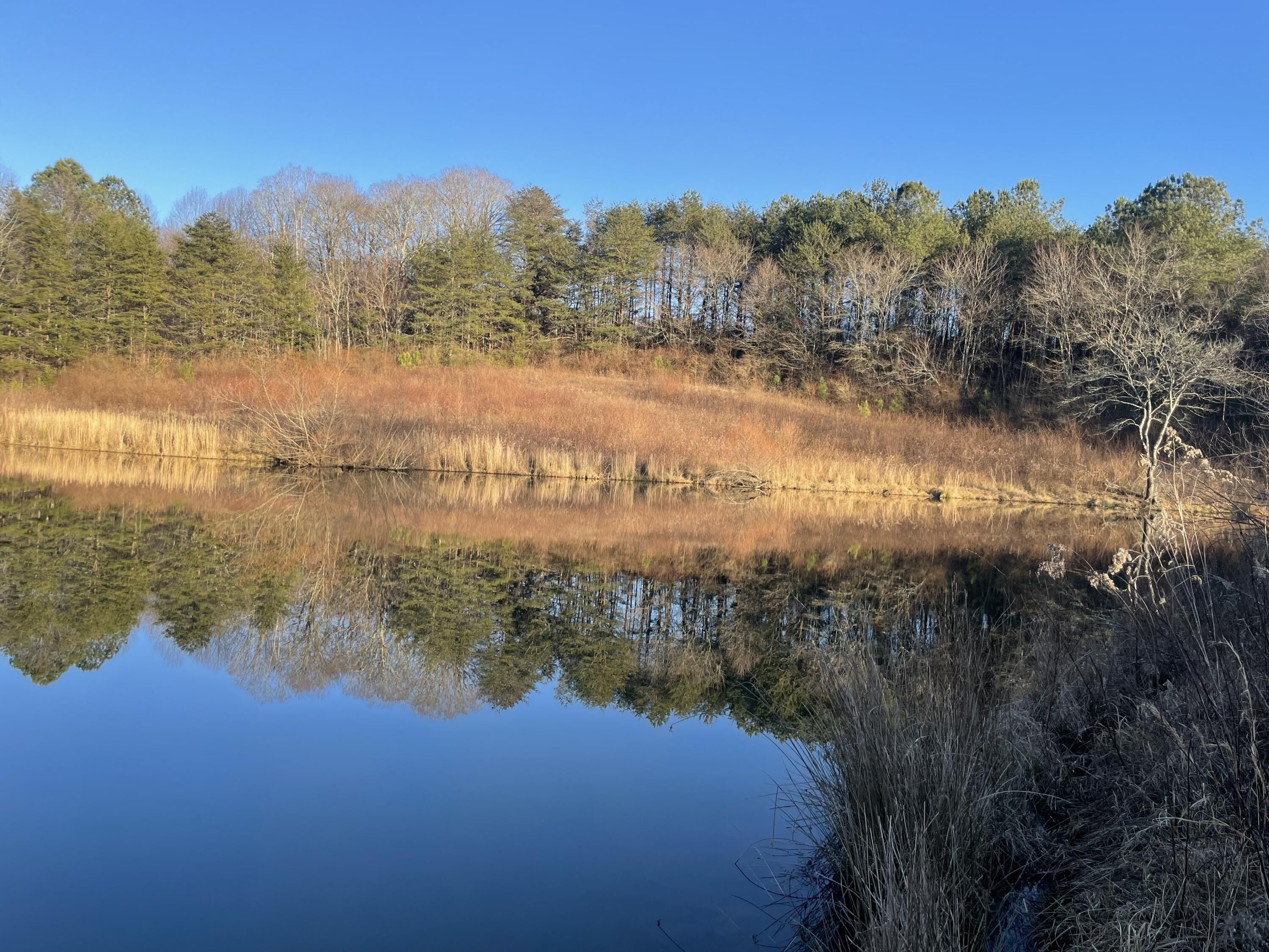 Dunlap, Sequatchie County, TN Farms and Ranches for sale Property ID