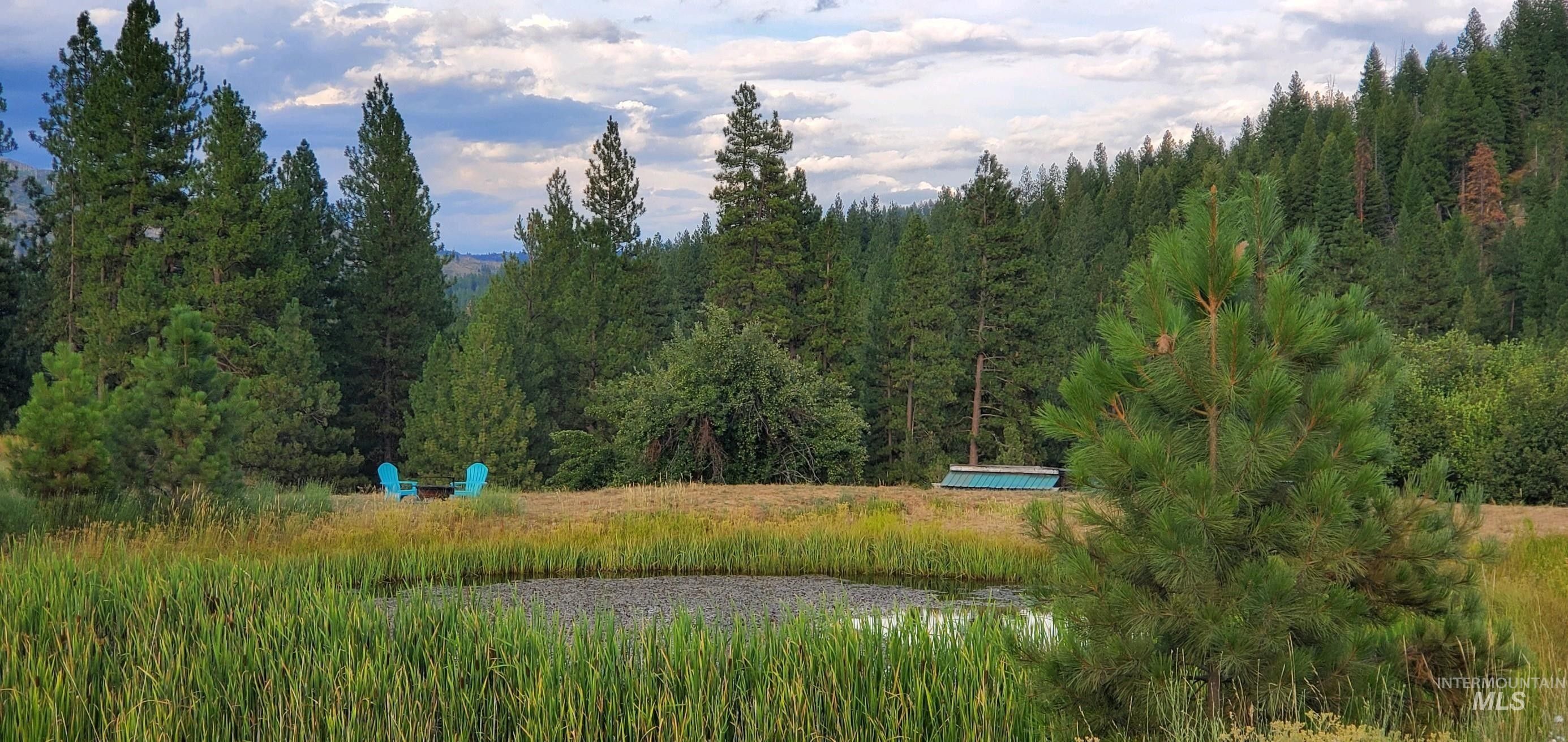 Boise, Boise County, ID Undeveloped Land, Lakefront Property