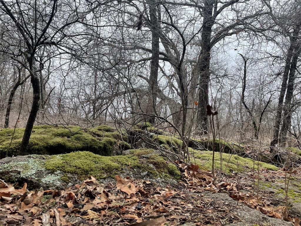 Sunset, Wise County, TX Farms and Ranches, Lakefront Property