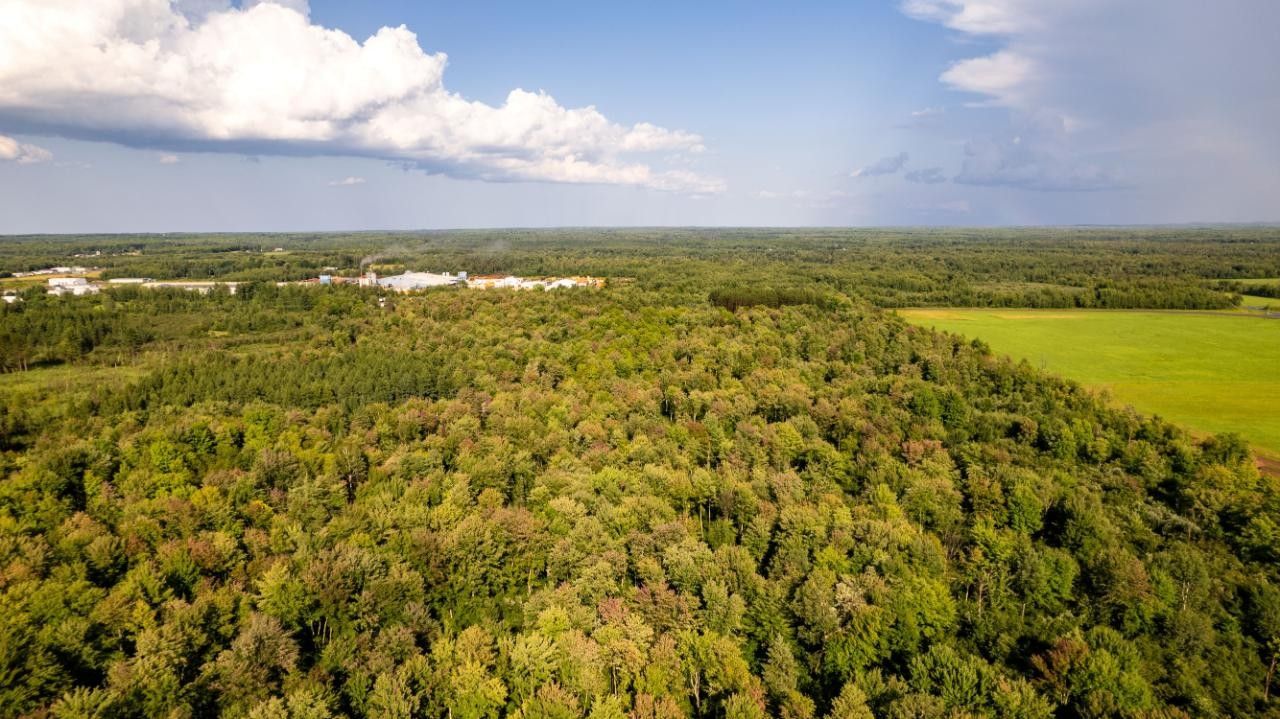 Prentice, Price County, WI Farms and Ranches for sale Property ID