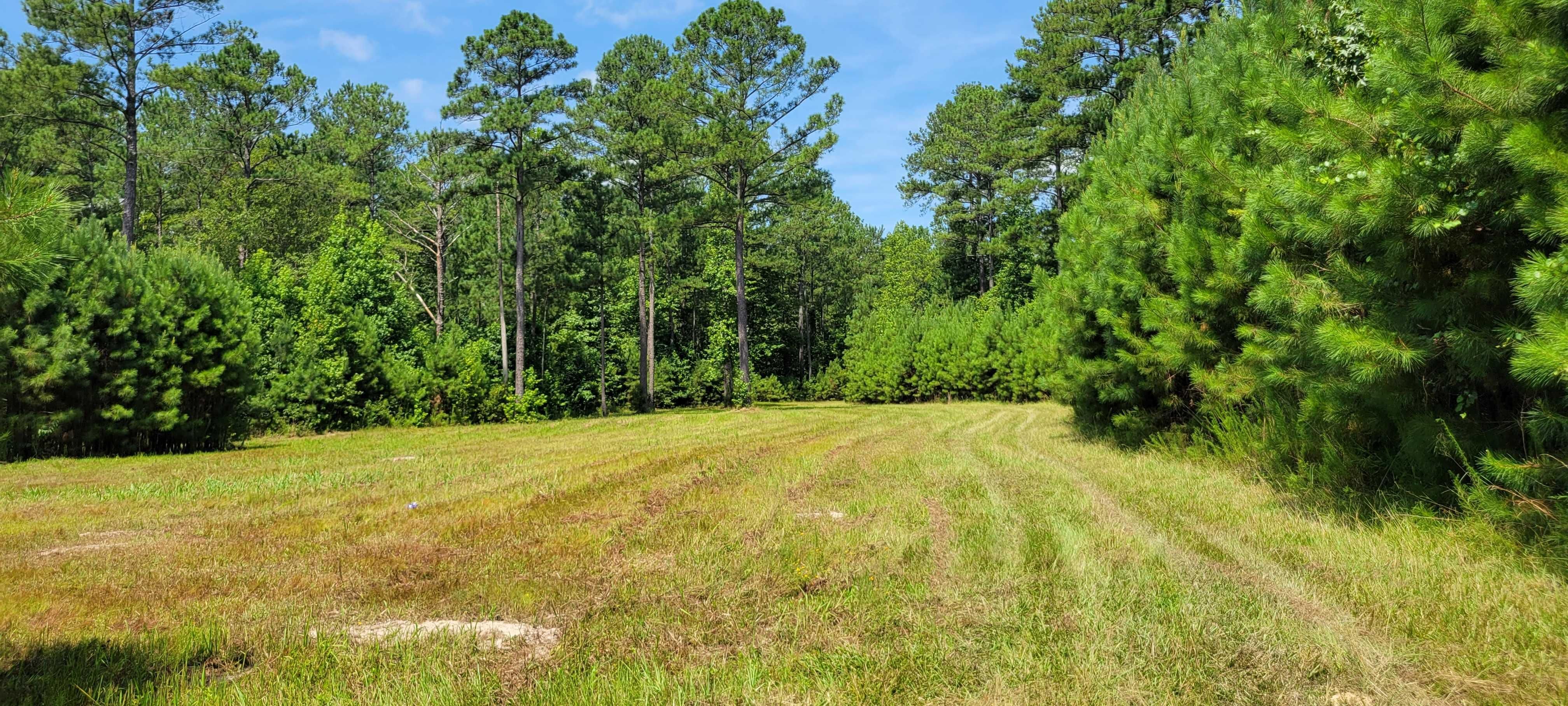 567 acres in Tuskegee, AL, 36083 MLS Macon 567 LandWatch