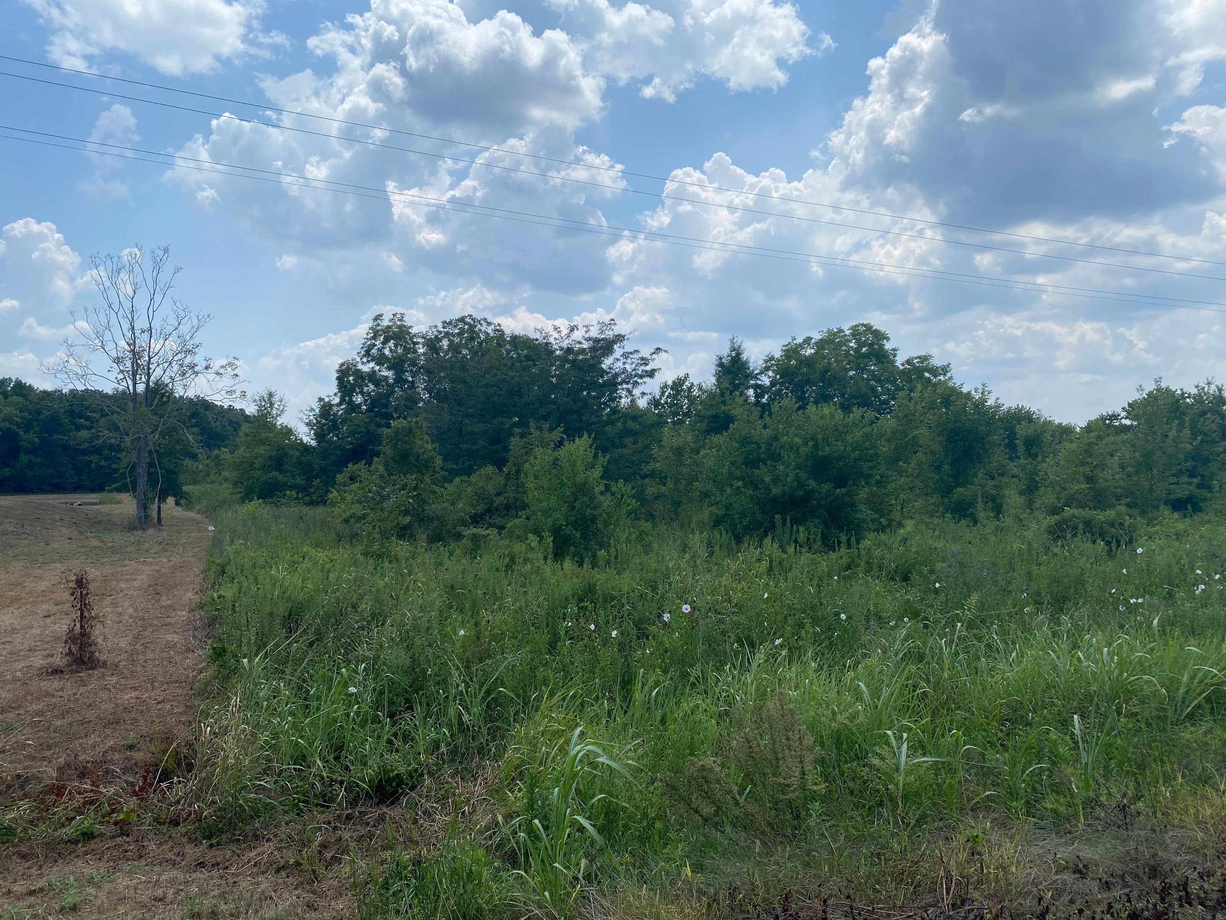 Winnsboro, Franklin Parish, LA Homesites for sale Property ID
