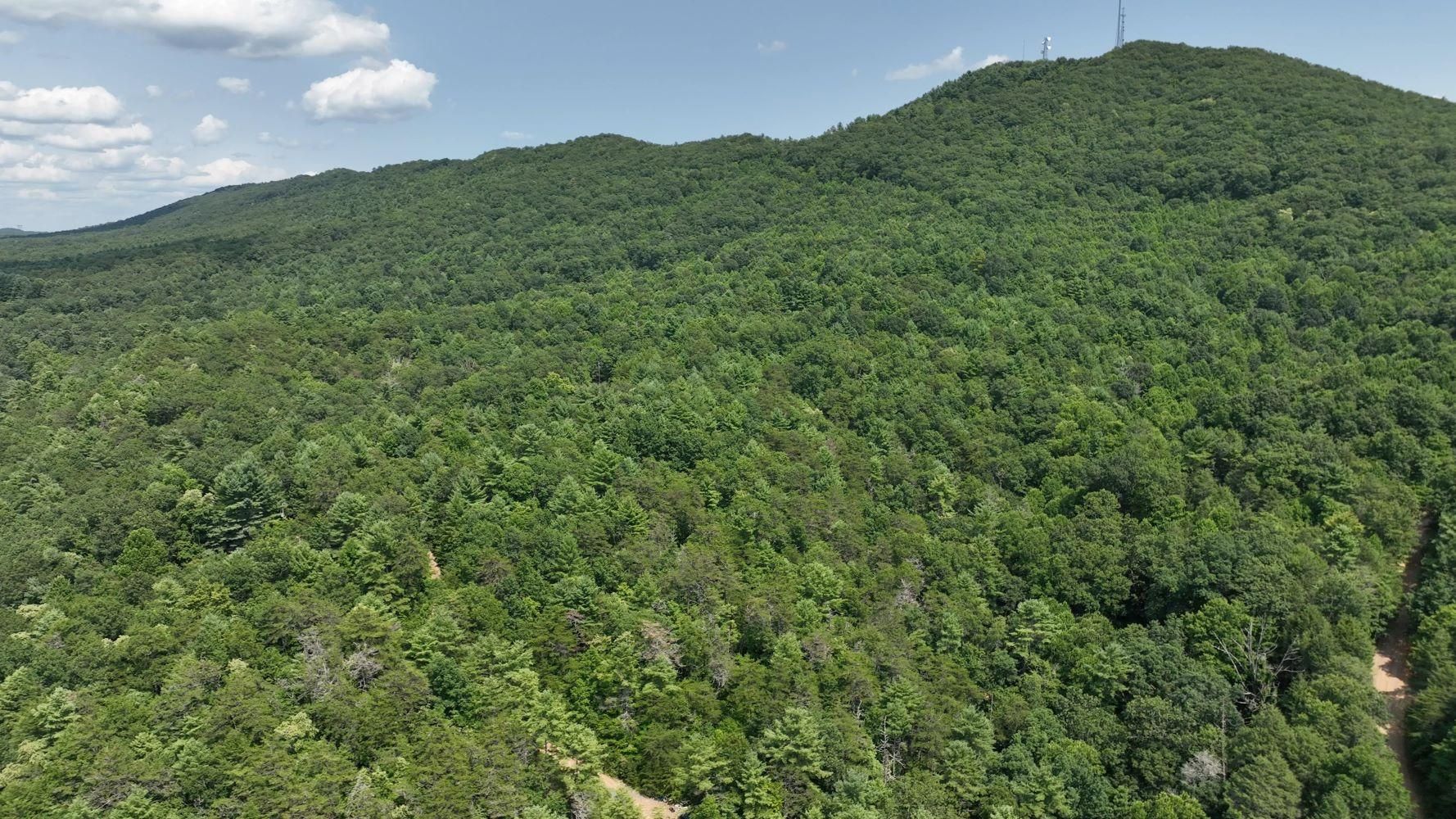 Alleghany Road, Max Meadows, VA 24360 LandWatch