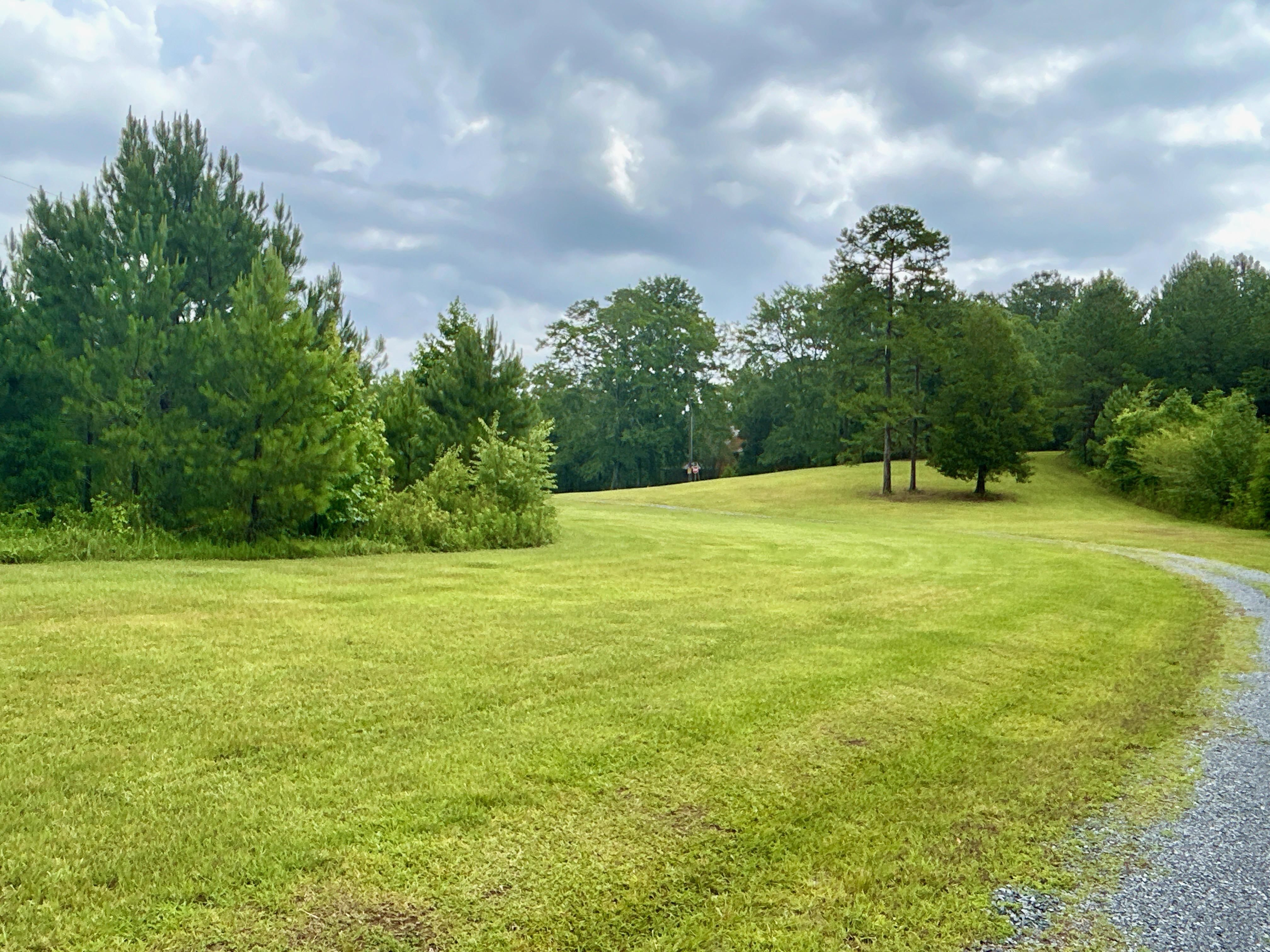 91 acres in Blue Springs, AL, 35151 LandWatch