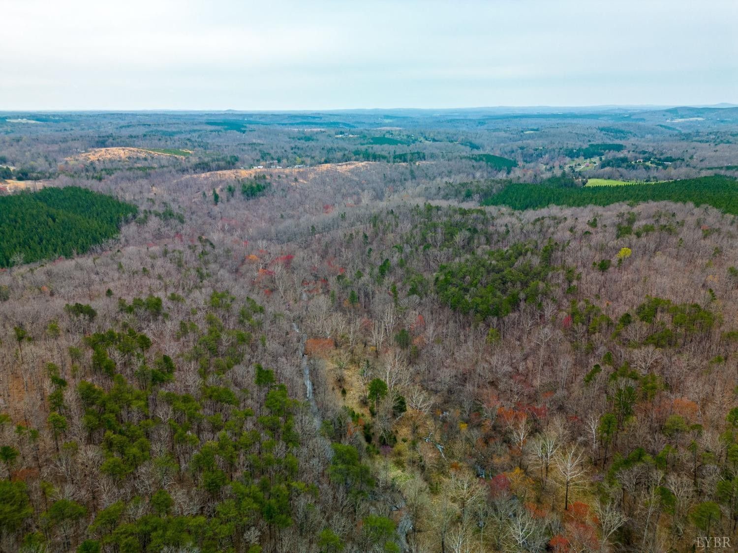 Evington, Campbell County, VA Undeveloped Land for sale Property ID