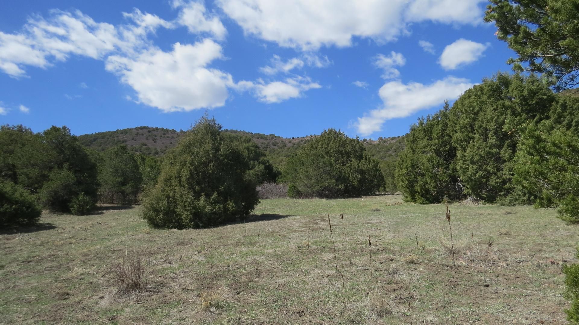 35 acres in Trinidad, CO, 81082 LandWatch
