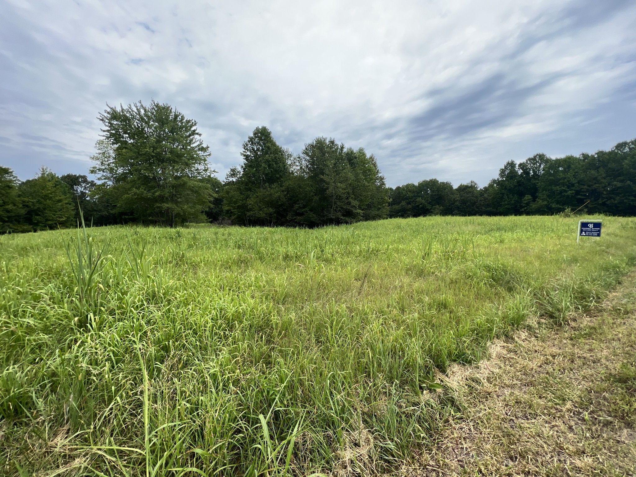 Collinwood, Wayne County, TN Undeveloped Land for sale Property ID