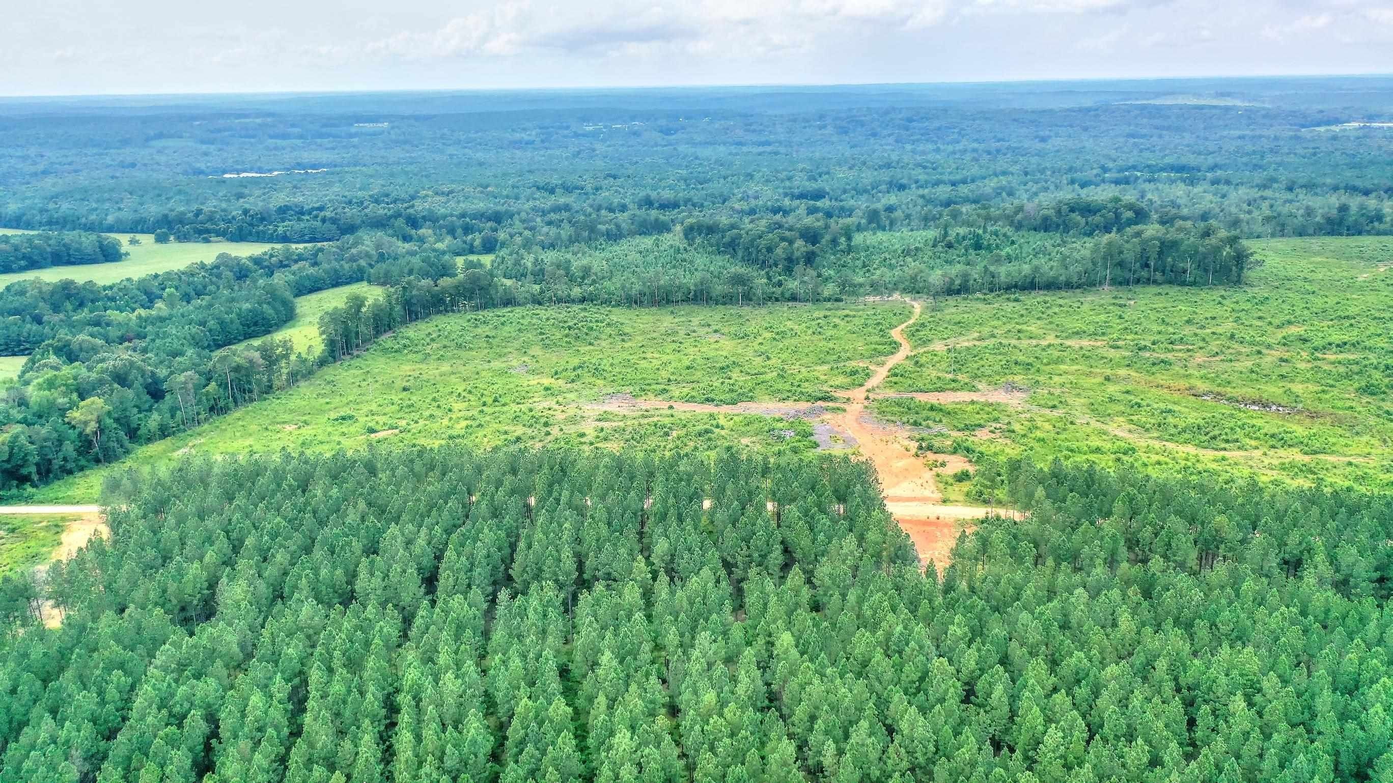 Lexington, Oglethorpe County, GA Farms and Ranches for sale Property ID 417265150 LandWatch