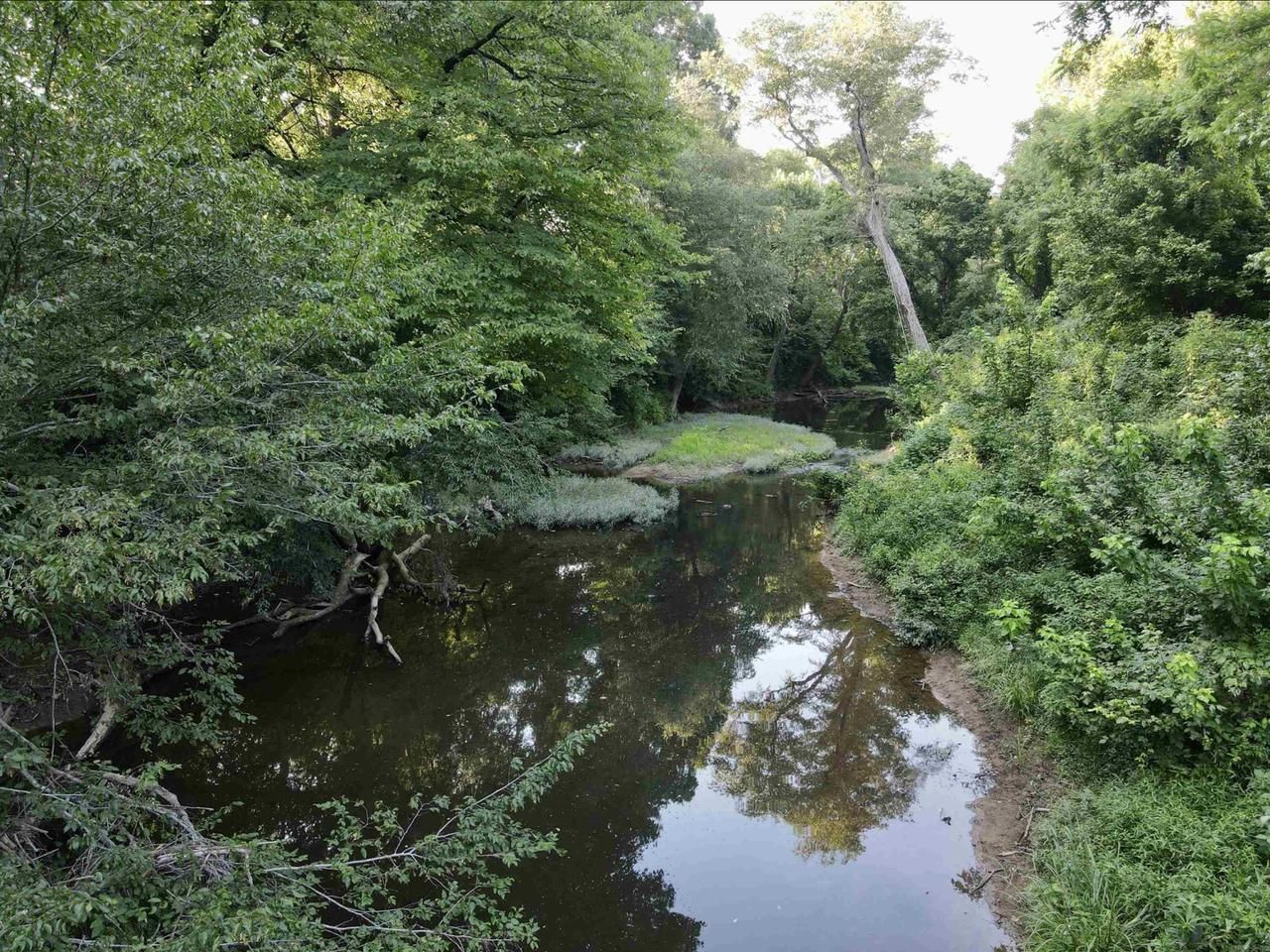 Albion, White County, AR Recreational Property, Timberland Property