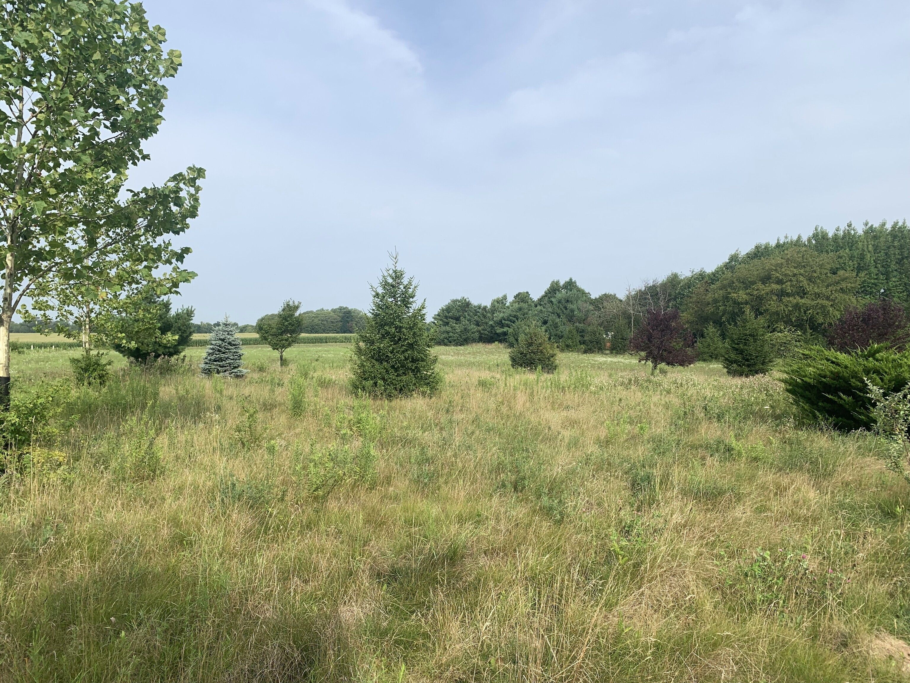 Ladoga, Montgomery County, IN Farms and Ranches for sale Property ID