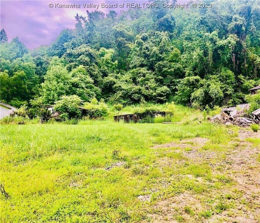 Huntington, Wayne County, WV Undeveloped Land for sale Property ID