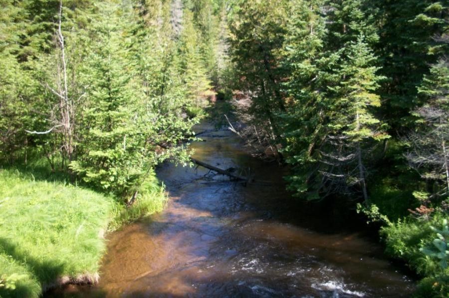 Gaylord, Otsego County, MI Undeveloped Land, Lakefront Property