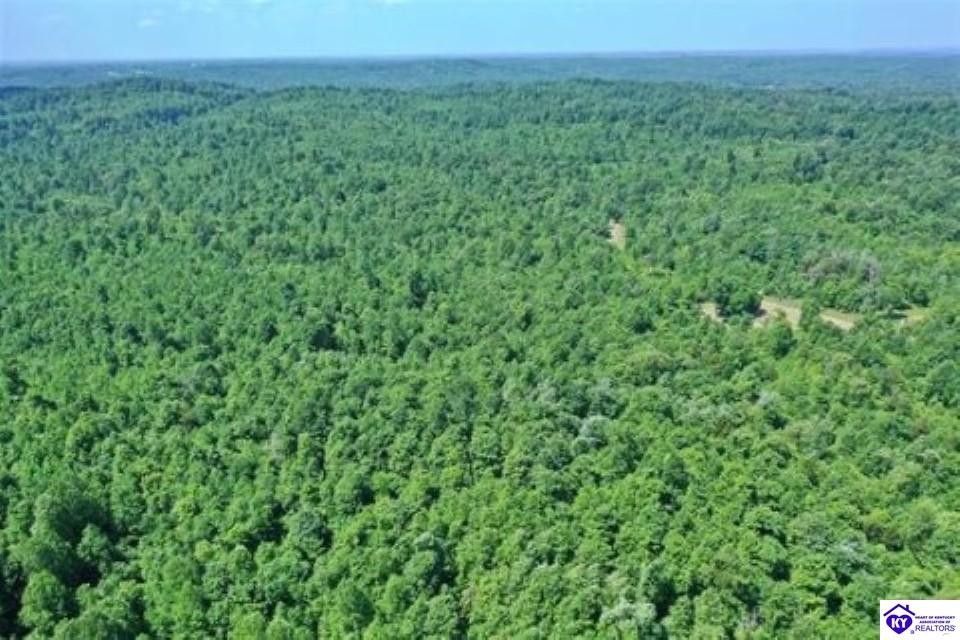 Lot 4A Concord Church Road, Bonnieville, KY 42713 MLS HK23002619