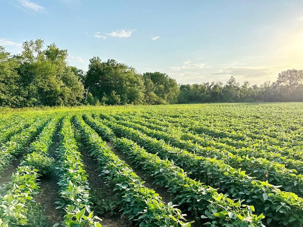 Nevada, Vernon County, MO Farms and Ranches for sale Property ID