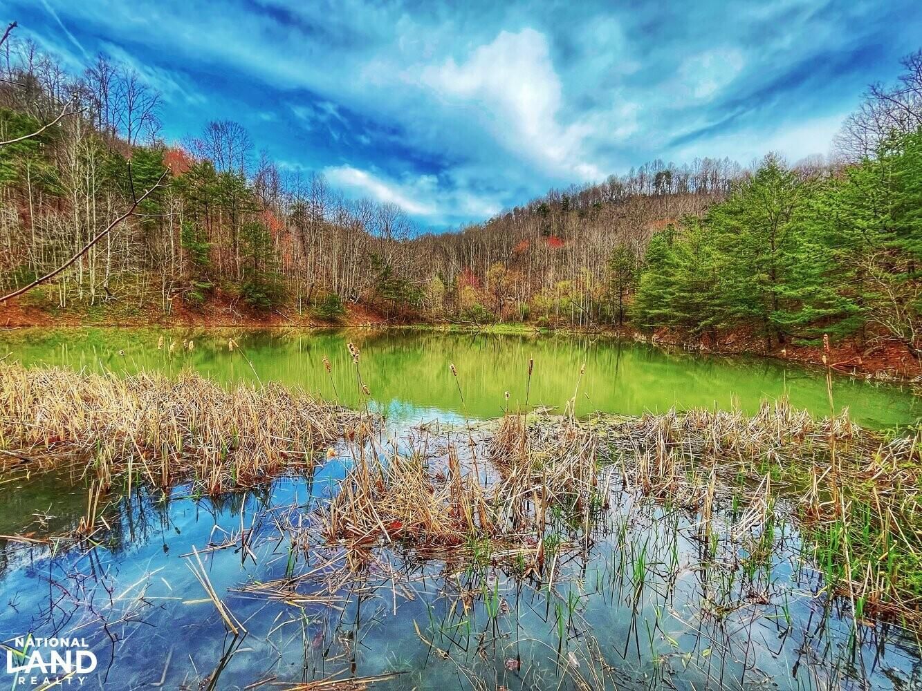 Stoney Fork, Bell County, KY Recreational Property, Undeveloped Land, Hunting Property for sale