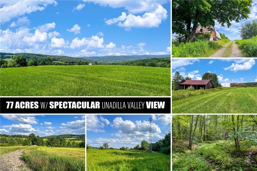 Unadilla, Otsego County, NY Undeveloped Land for sale Property ID