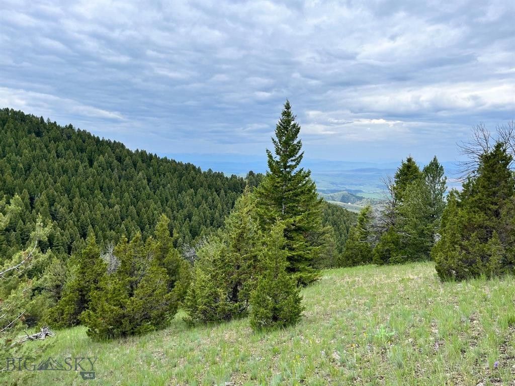 Three Forks, Gallatin County, MT Farms and Ranches for sale Property ID