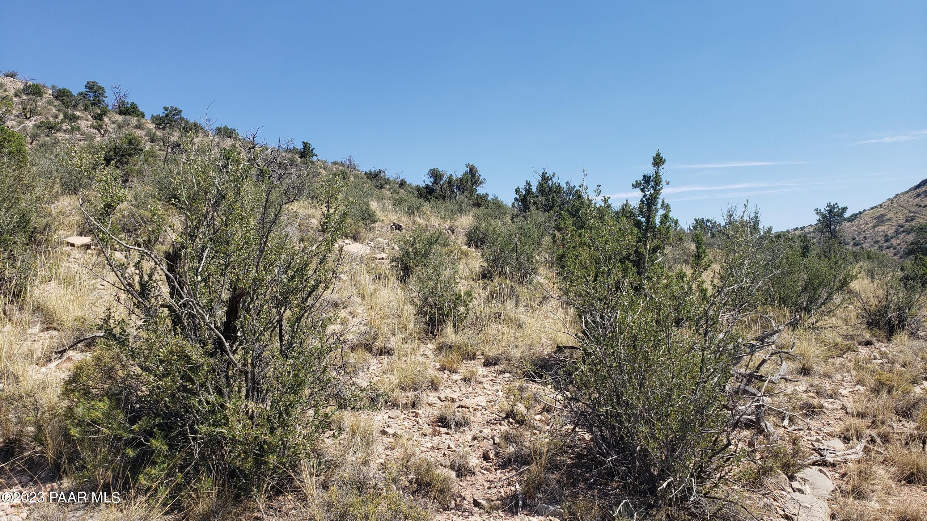 Chino Valley, Yavapai County, AZ Undeveloped Land for sale Property ID