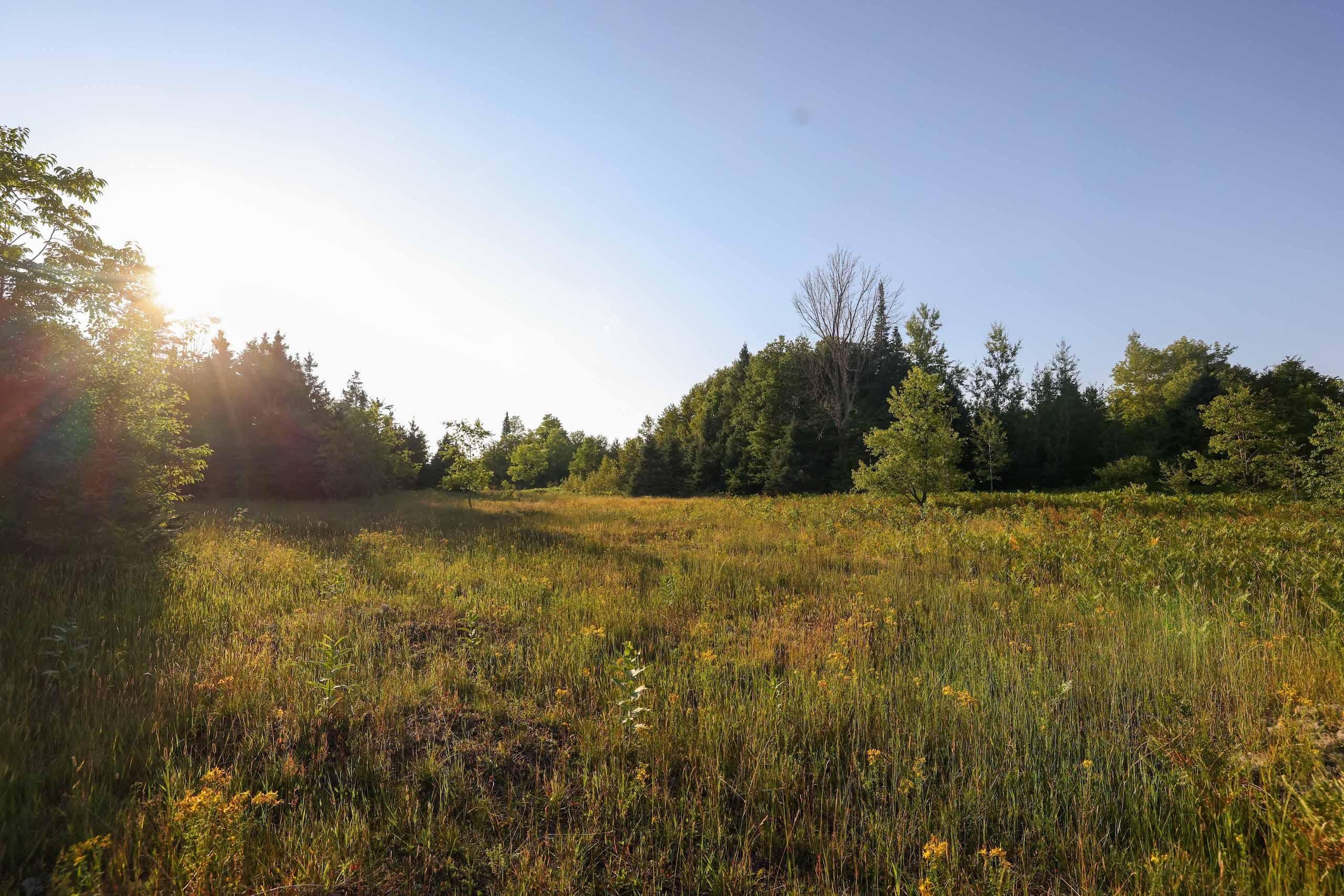 Germfask, Schoolcraft County, MI Recreational Property, Undeveloped