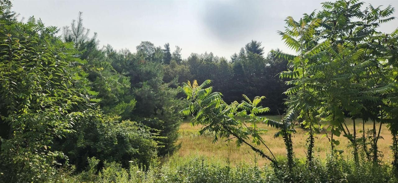 Hinsdale, Cheshire County, NH Farms and Ranches, Homesites for sale