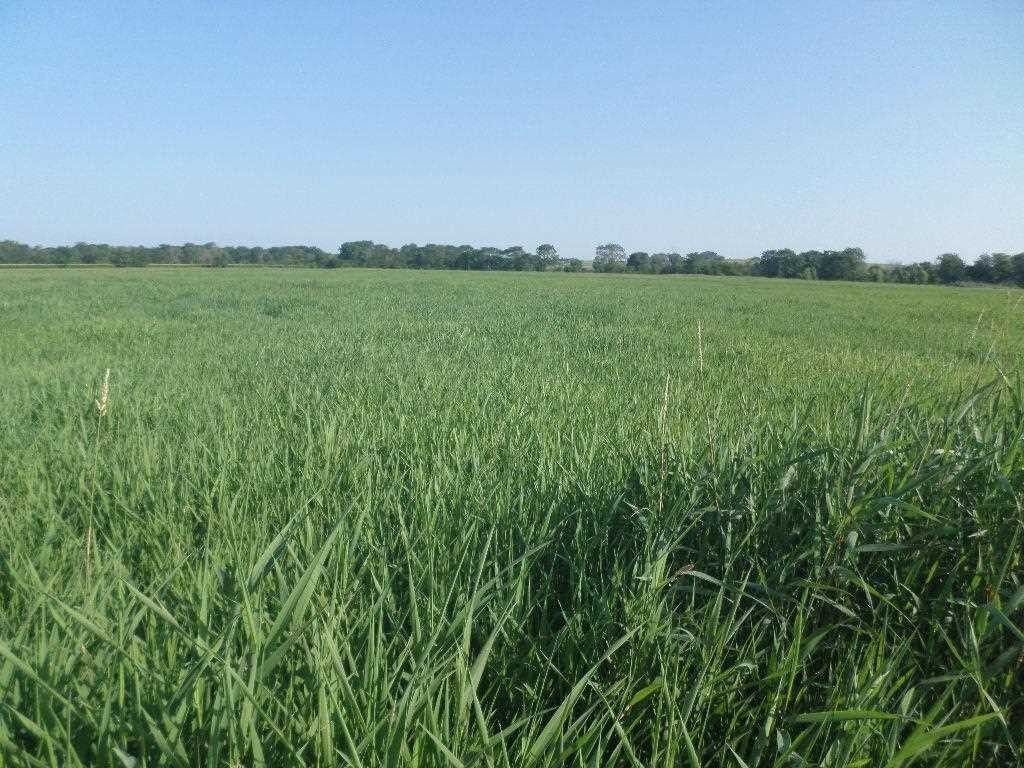 Kinross, Keokuk County, IA Undeveloped Land for sale Property ID