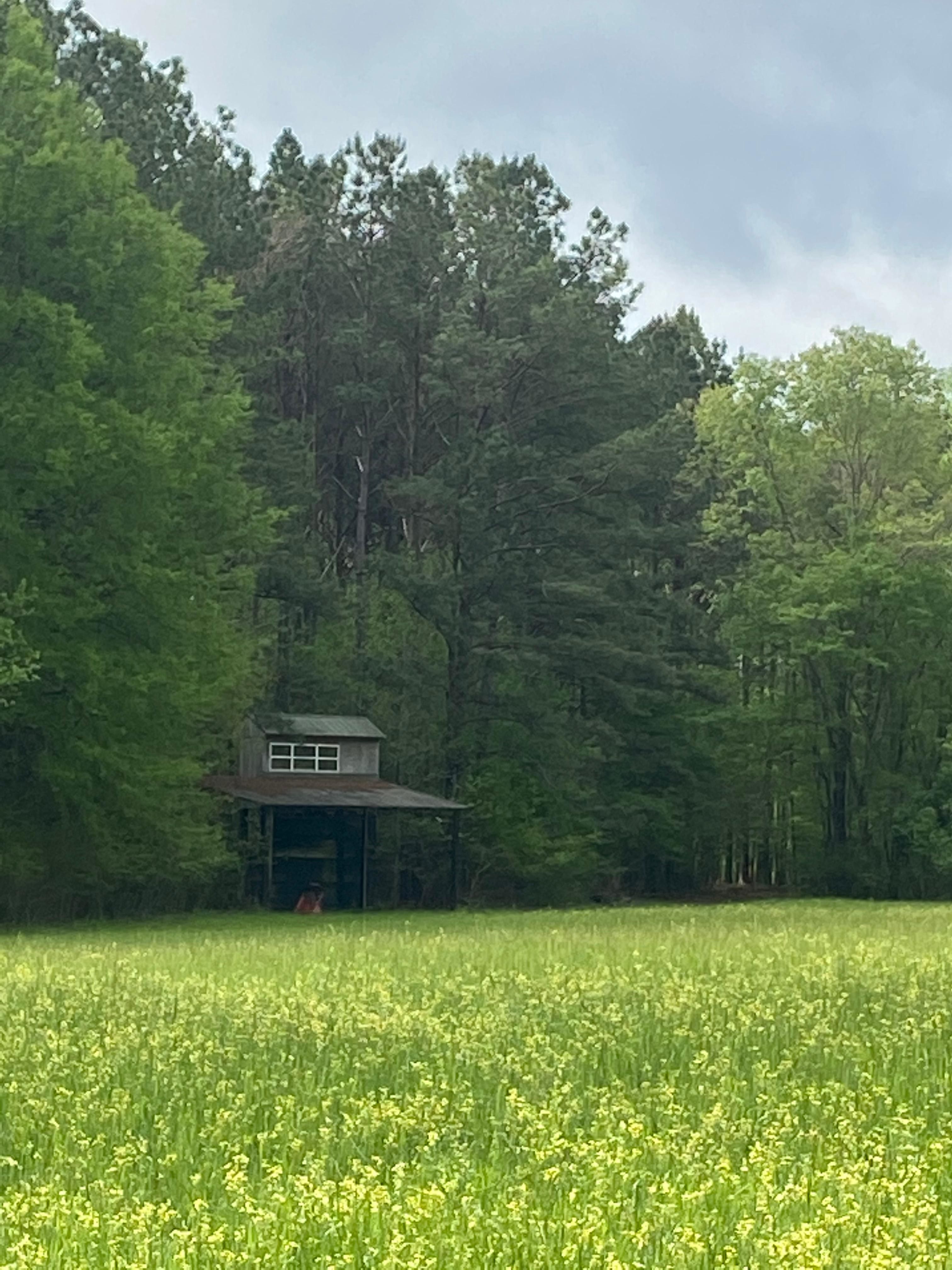 4222 Owens Rd, Pine Apple, AL 36768 MLS OLD TEXAS PROPERTY LandWatch