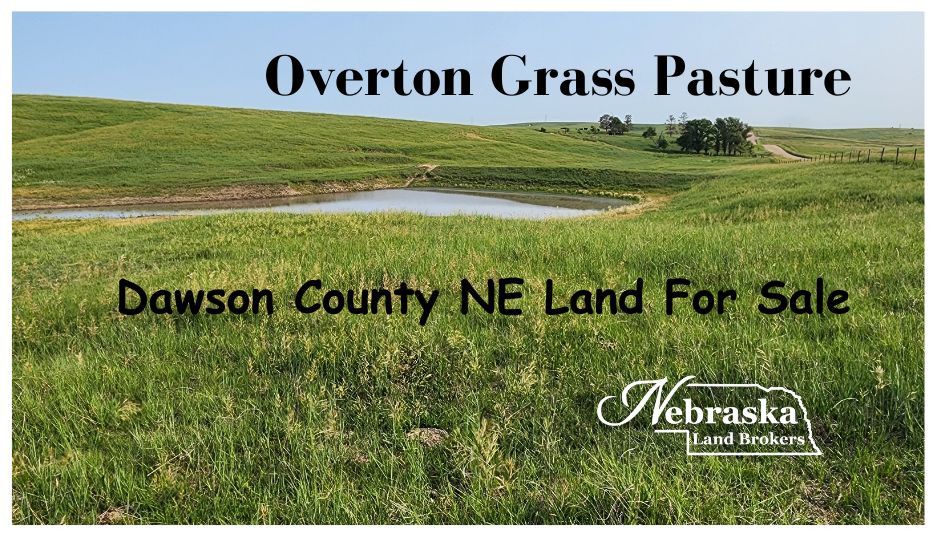 320.29 acres in Overton, NE, 68863 LandWatch