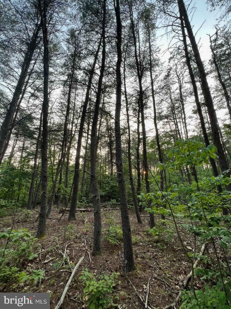 Hedgesville, Berkeley County, WV Farms and Ranches for sale Property ID