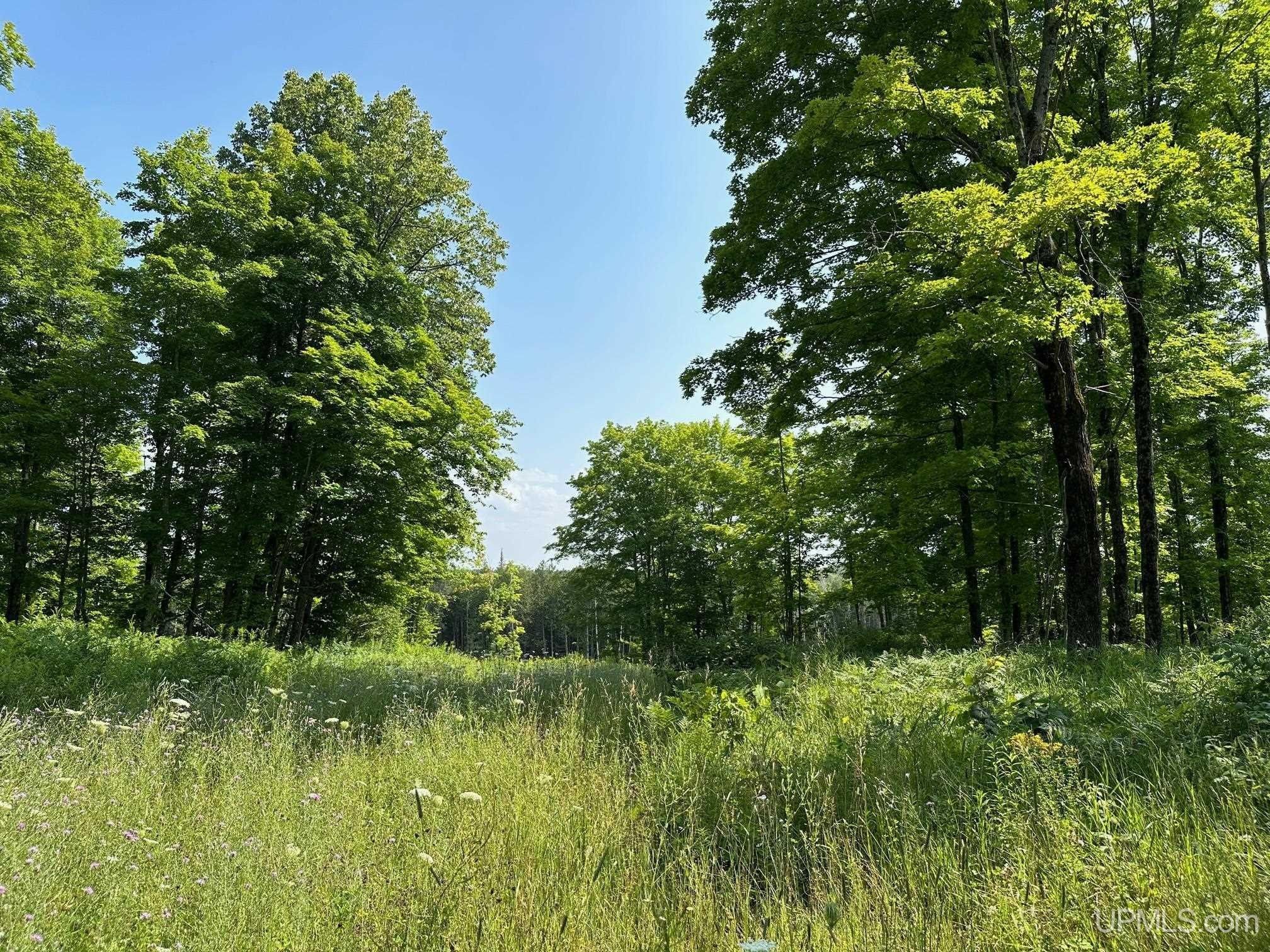 Felch, Marquette County, MI Undeveloped Land for sale Property ID