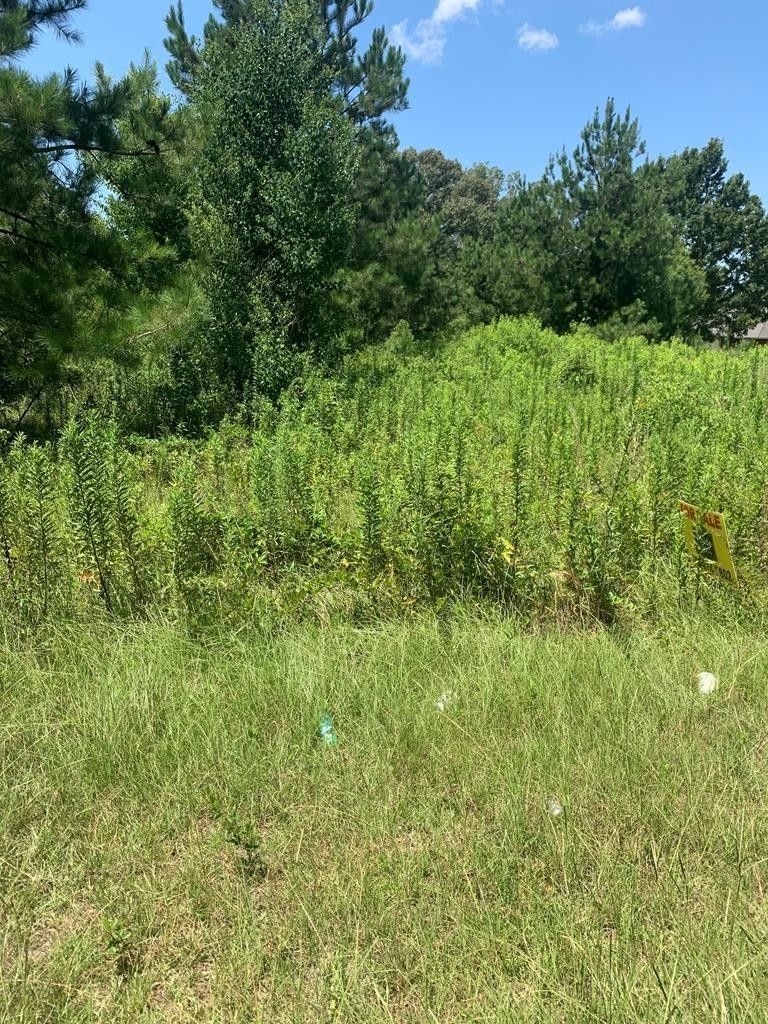 Brookhaven, Lincoln County, MS Undeveloped Land for sale Property ID