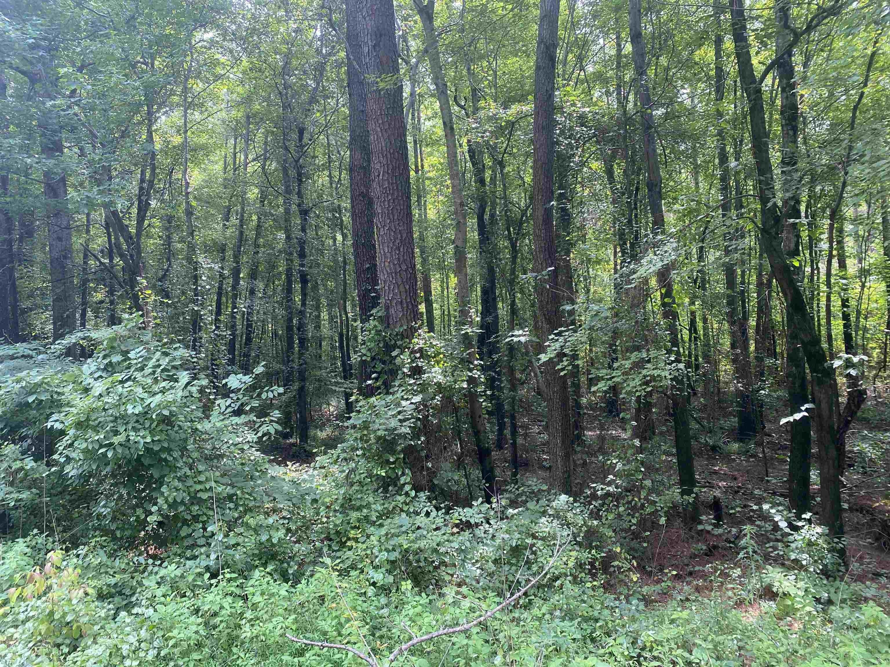 Scotts Hill, Henderson County, TN Homesites for sale Property ID