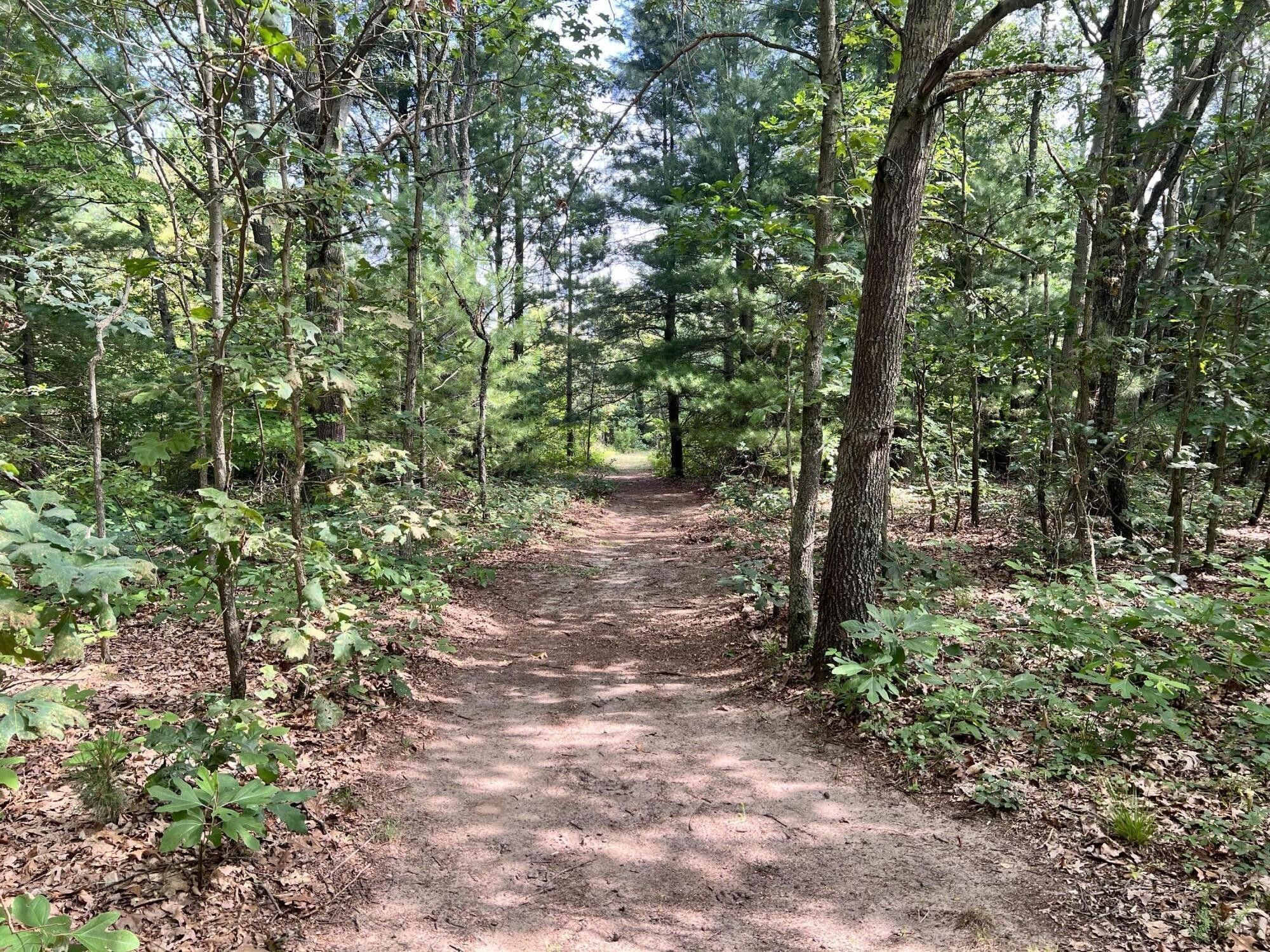 Allegan, Allegan County, MI Undeveloped Land for sale Property ID