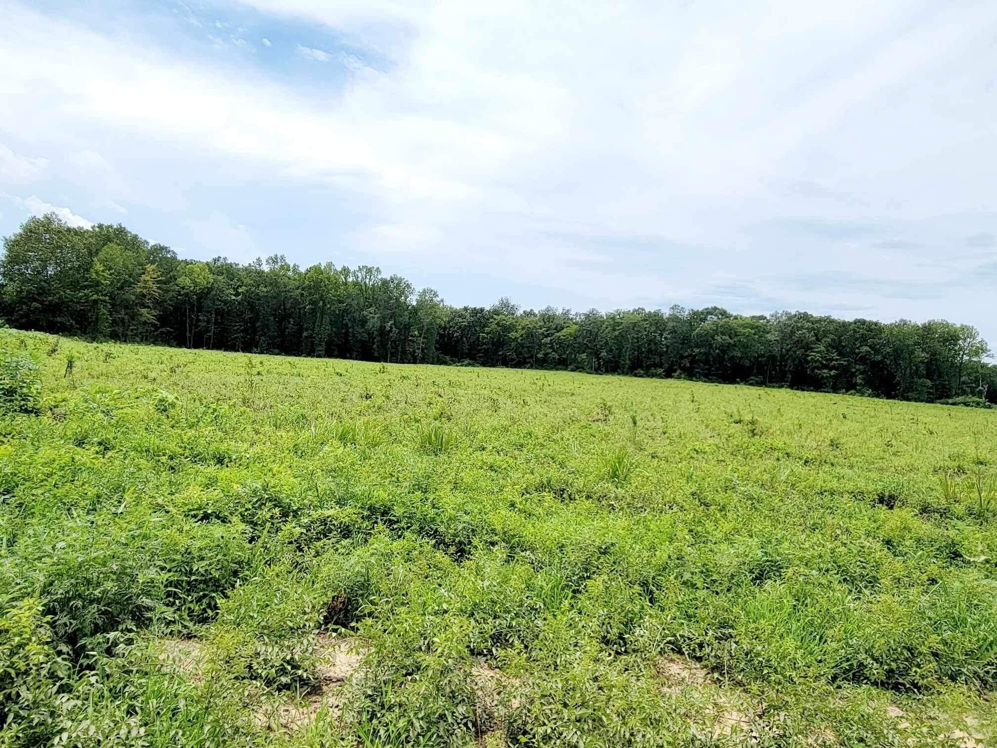 Hwy 7 & S New Hope, Danville, AR 72833 MLS 231412 LandWatch