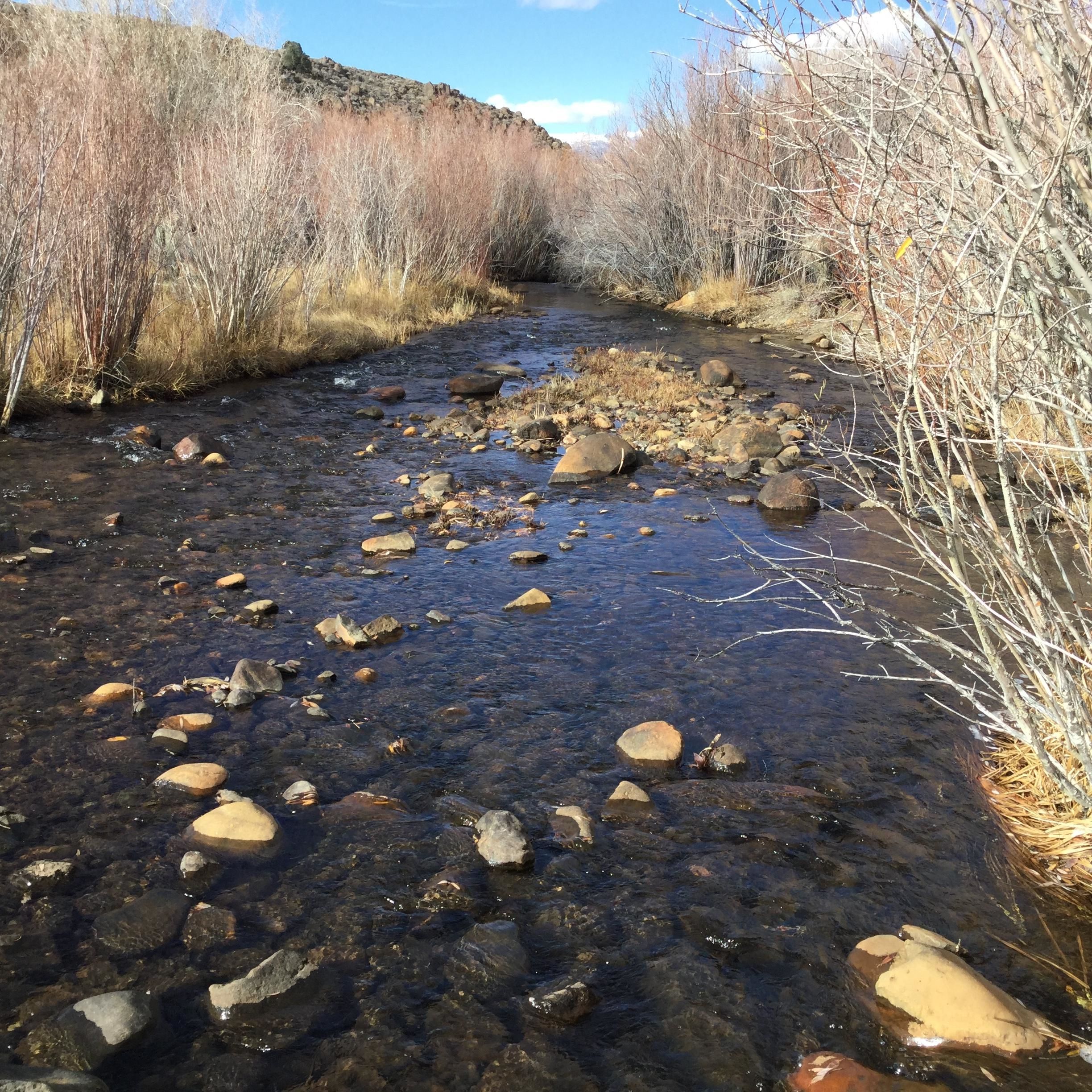 41.32 acres in Bridgeport, CA, 93517 MLS Exclusive LandWatch