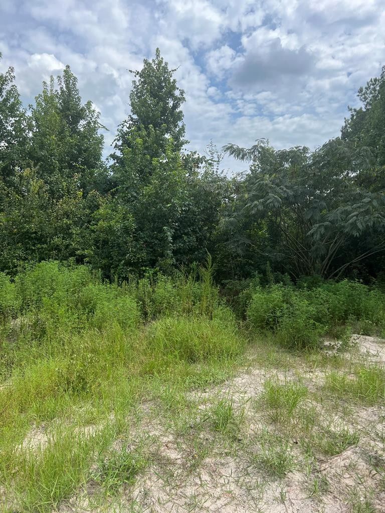 0 Robin Drive, Ray City, GA 31645 MLS 135681 LandWatch