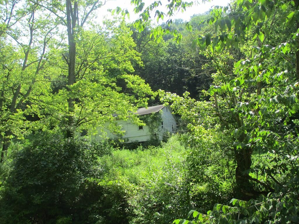 Maysville, Mason County, KY Farms and Ranches, Lakefront Property