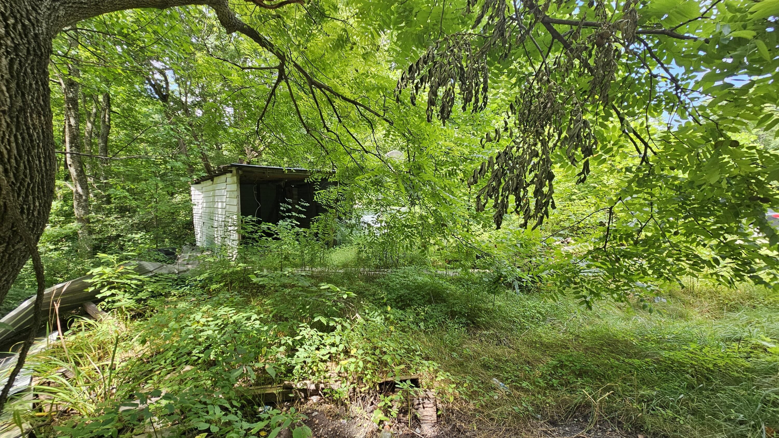 Mabie, Randolph County, WV Undeveloped Land for sale Property ID 417281907 LandWatch
