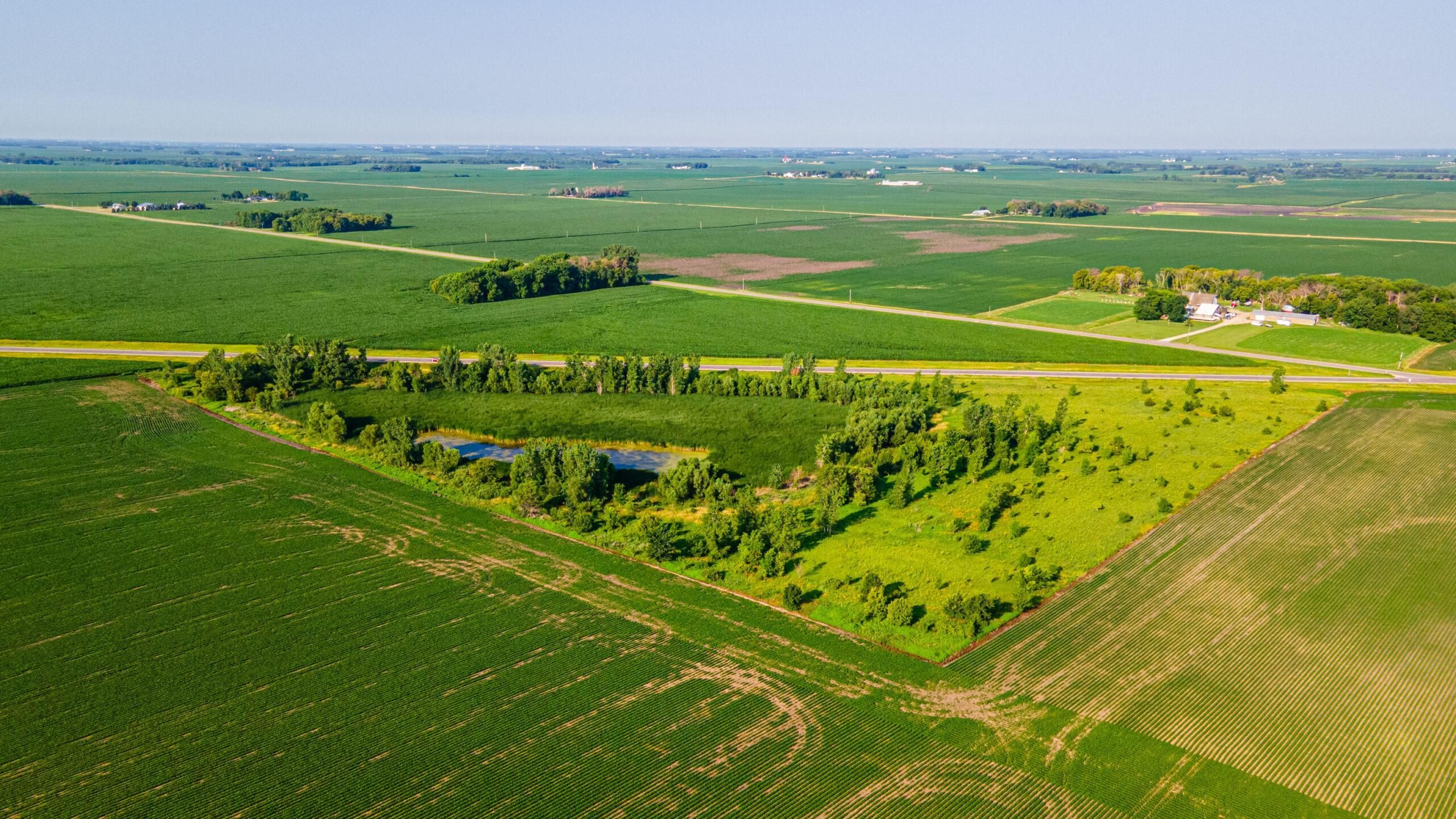 Saint Clair, Blue Earth County, MN Hunting Property for sale Property