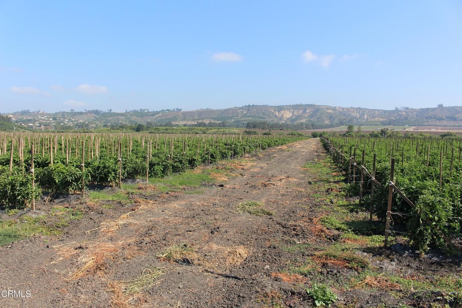 Santa Rosa Road, Camarillo, CA 93012 LandWatch