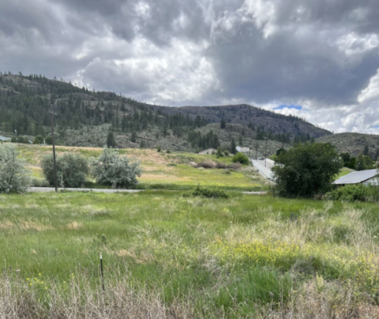 Oroville, Okanogan County, WA Recreational Property, Undeveloped Land