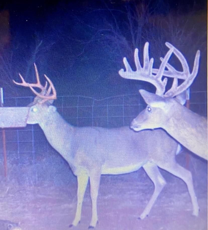 787 acres in Estelline, TX, 79233 LandWatch