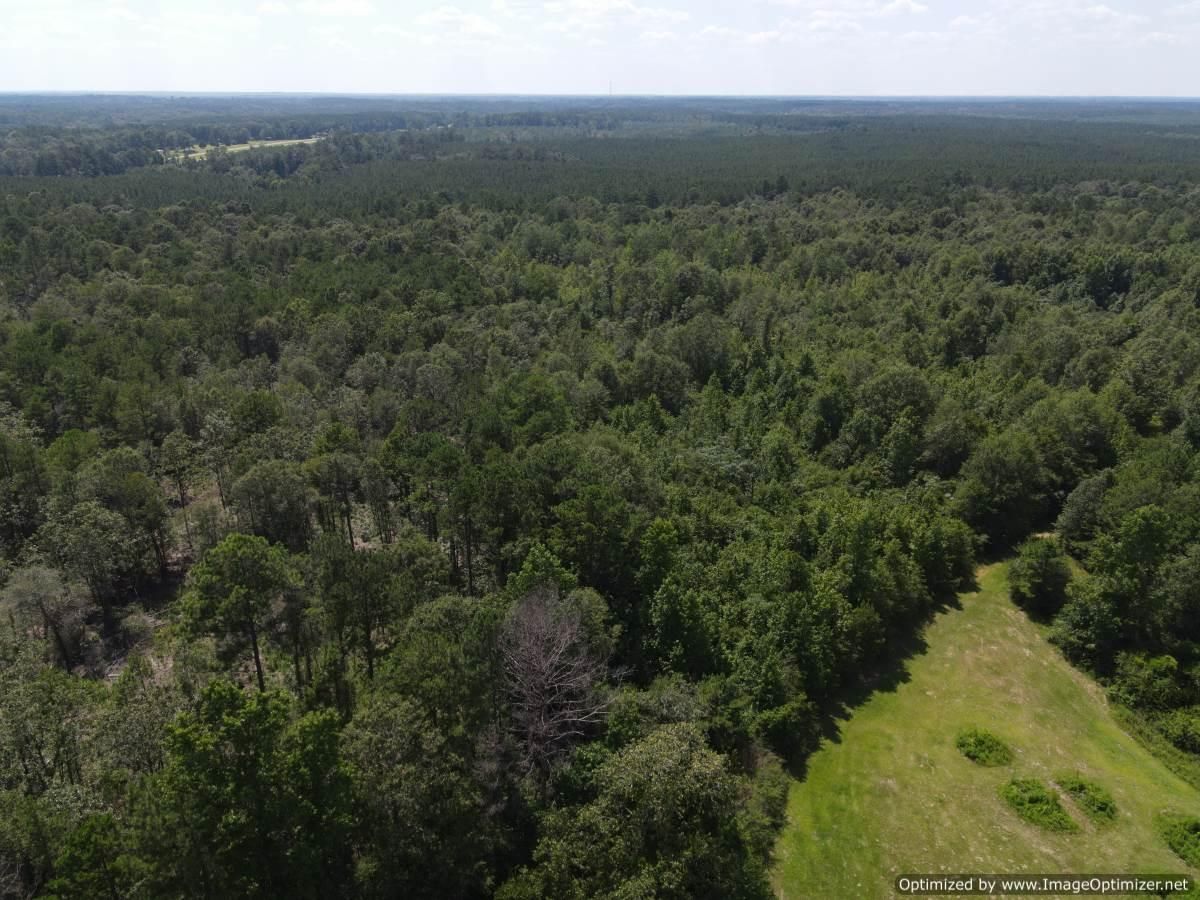 Pike County, MS Recreational Property, Hunting Property for sale Property ID 417285542