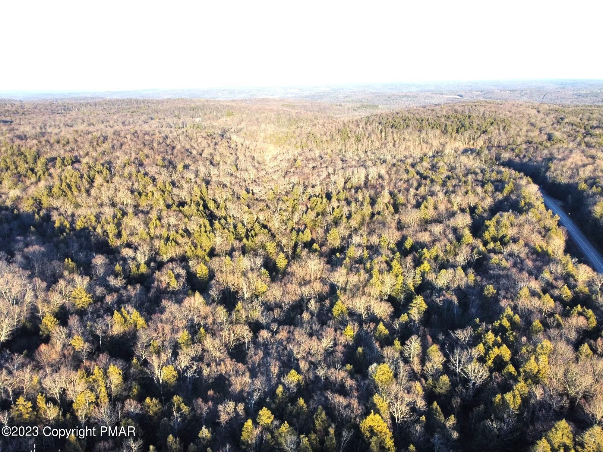 Newfoundland, Wayne County, PA Farms and Ranches, Lakefront Property