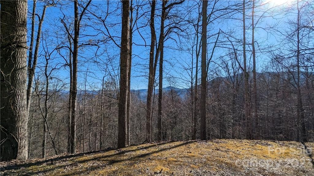 Waynesville, Haywood County, NC Undeveloped Land, Homesites for sale