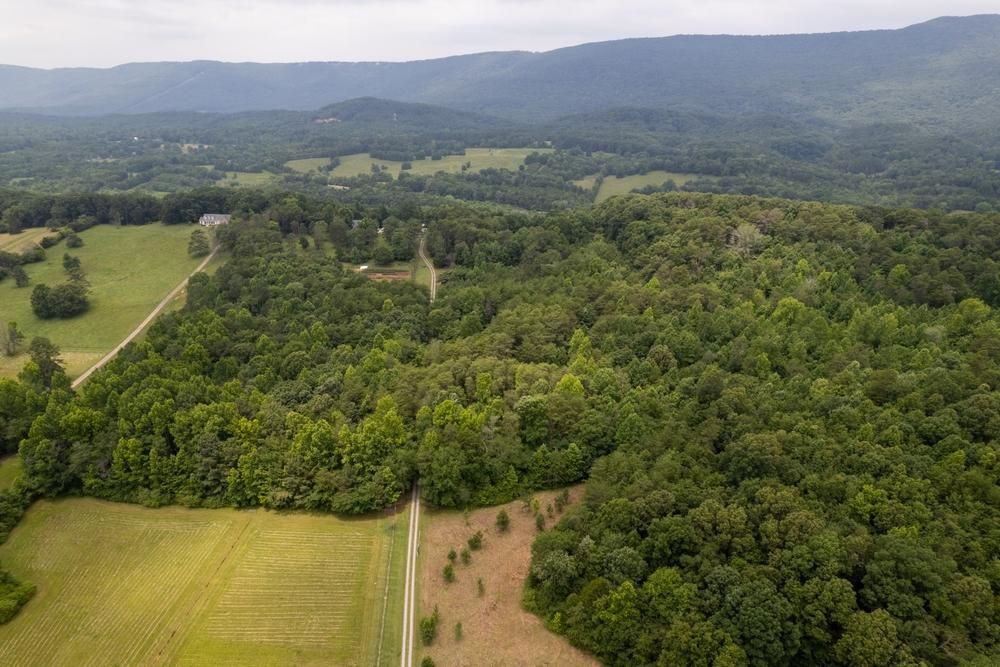 Chickamauga, Walker County, GA Farms and Ranches, Timberland Property