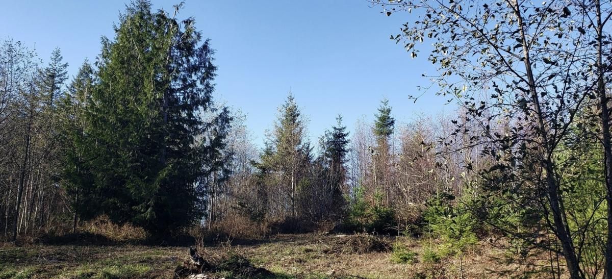 Ravensdale, King County, WA Timberland Property, Undeveloped Land for