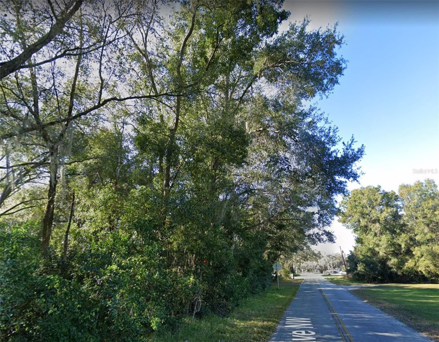 Lakeland, Polk County, FL Undeveloped Land, Homesites for sale Property