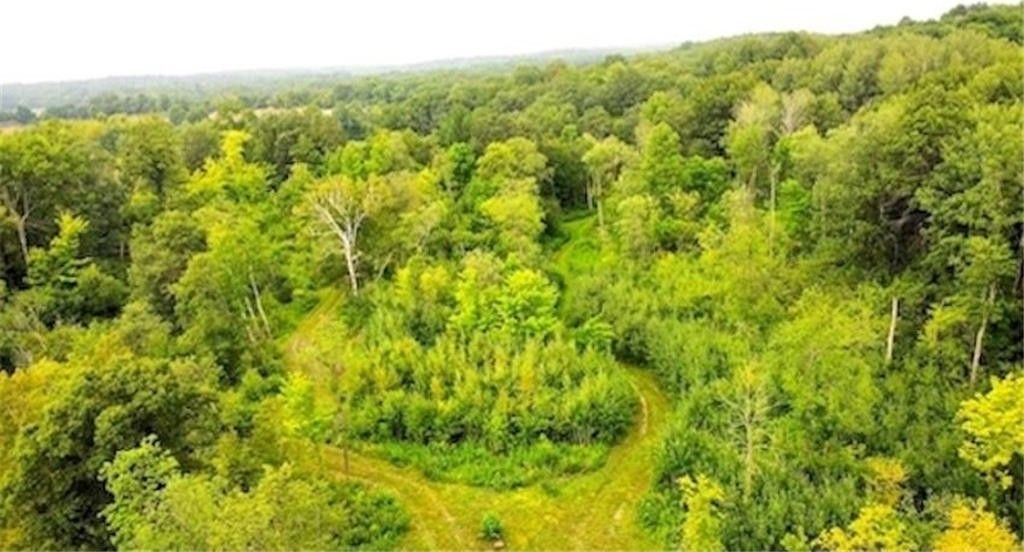 Luck, Polk County, WI Undeveloped Land for sale Property ID 417287925