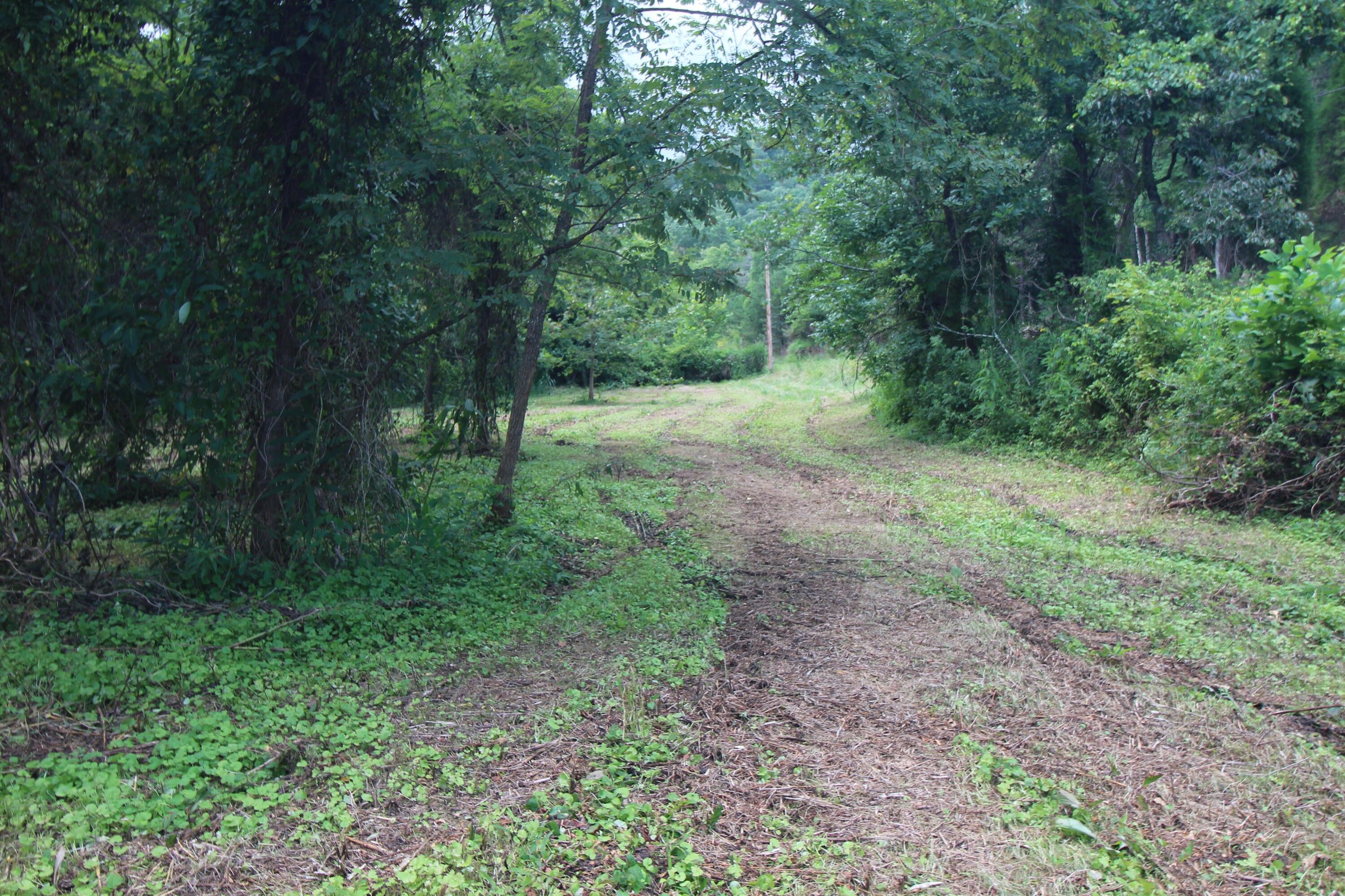 Stanton, Powell County, KY Undeveloped Land for sale Property ID