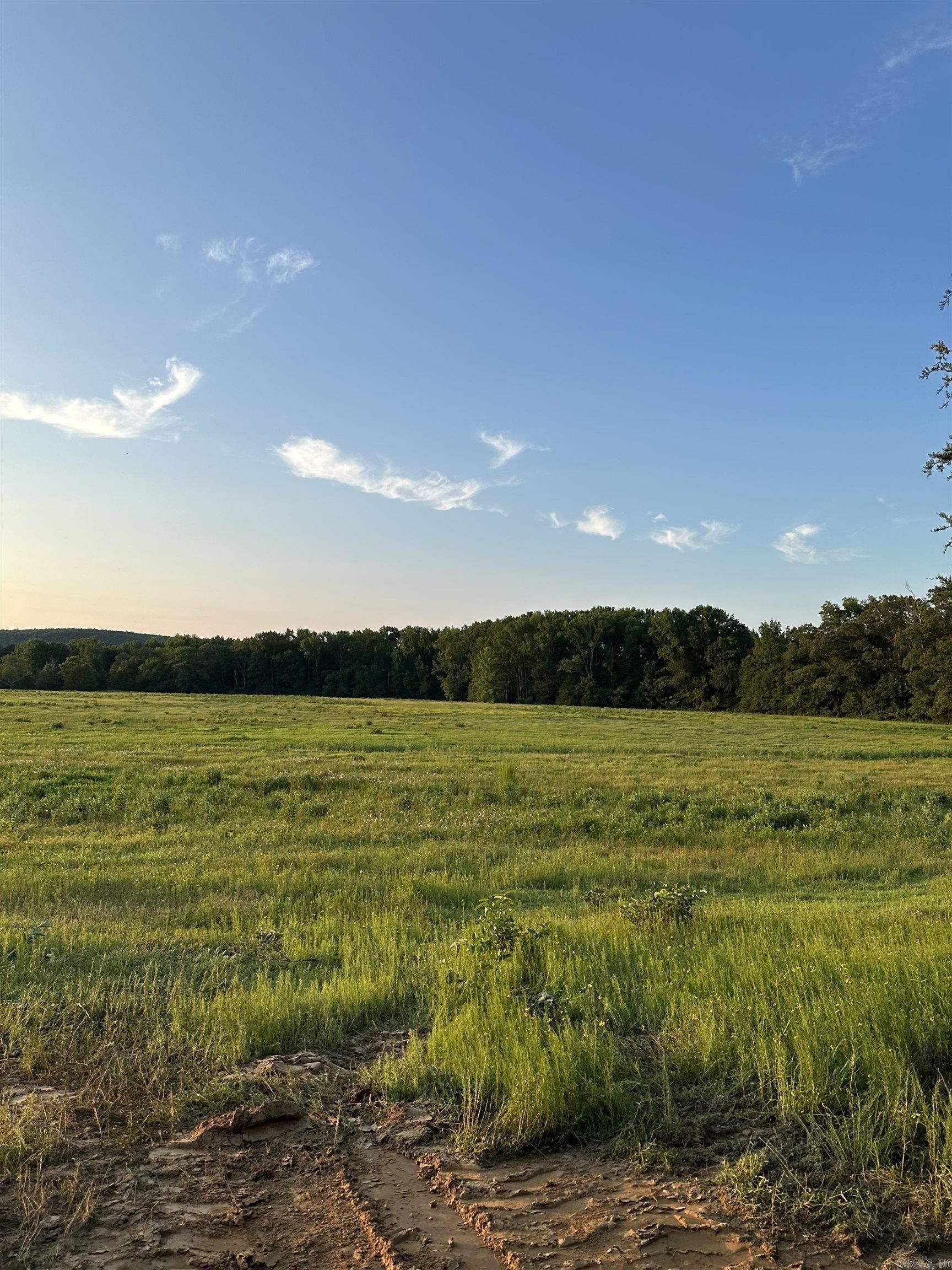 Bee Branch, Van Buren County, AR Undeveloped Land for sale Property ID